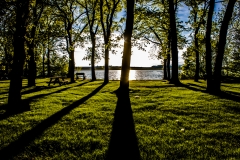 IMG_6559 copy