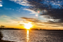 IMG_6697 copy