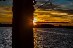 IMG_6712 copy