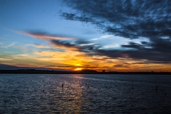 IMG_6750 copy