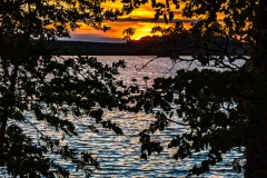 IMG_6767 copy